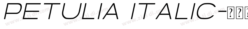Petulia Italic字体转换